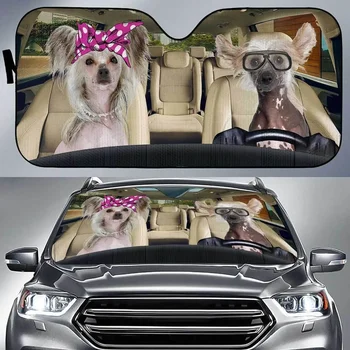 Забавна двойка китайски хохлатых кучета Зад волана на колата с лявата ръка навес, китайски хохлатые кучета в розово превръзка на главата и очила Auto Су